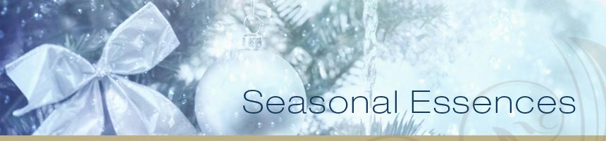 seasonal system header